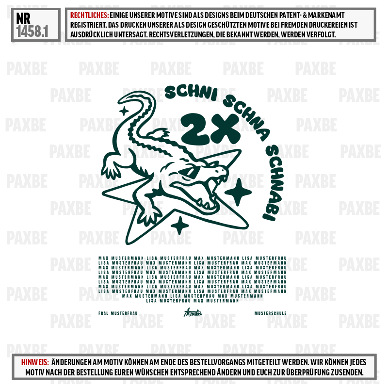 drache, surfbretter, 2x, stern, grafik