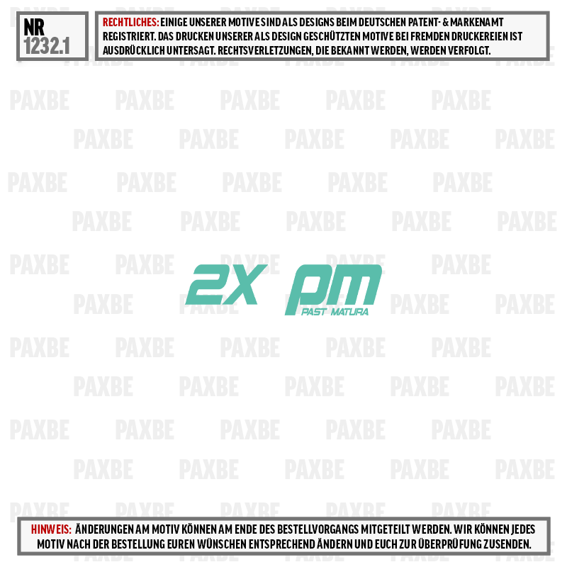 2x PM, Past Matura, Logo, Türkis, Grafik, poster, Logo, Musterbild, PAXBE, 2XPM